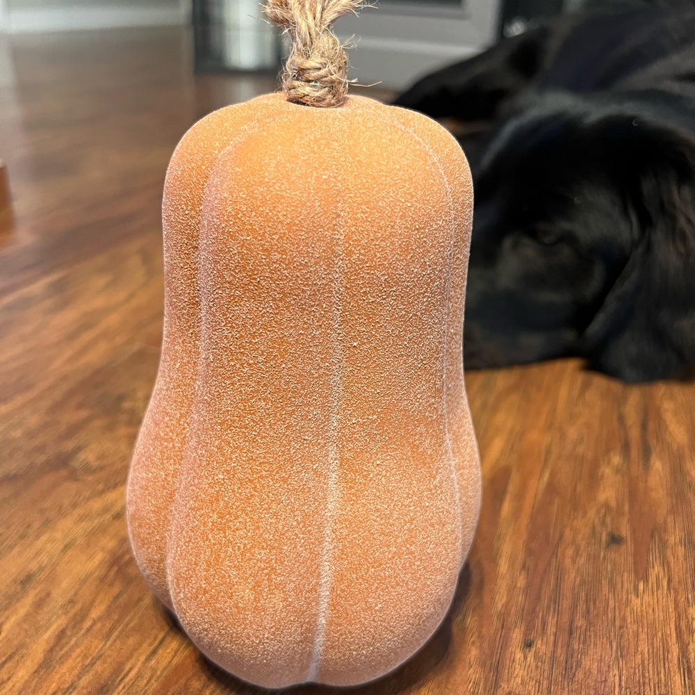 Fall pumpkin decor